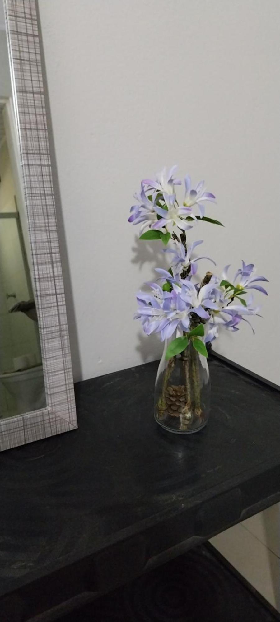 Cananéia Chale Da Bia 빌라 외부 사진